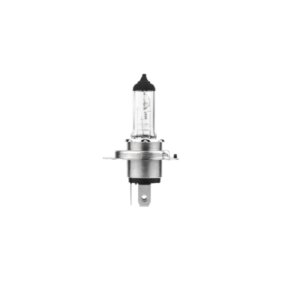 H4 12v 60/55w P43t pack of 10