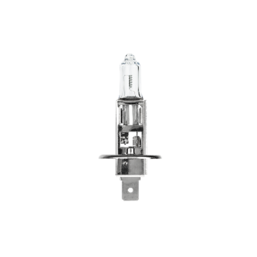 [10100] H1 12 55W P14.5S PACK OF 10